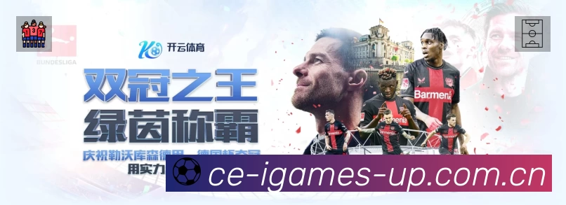 全球访问热力分布图